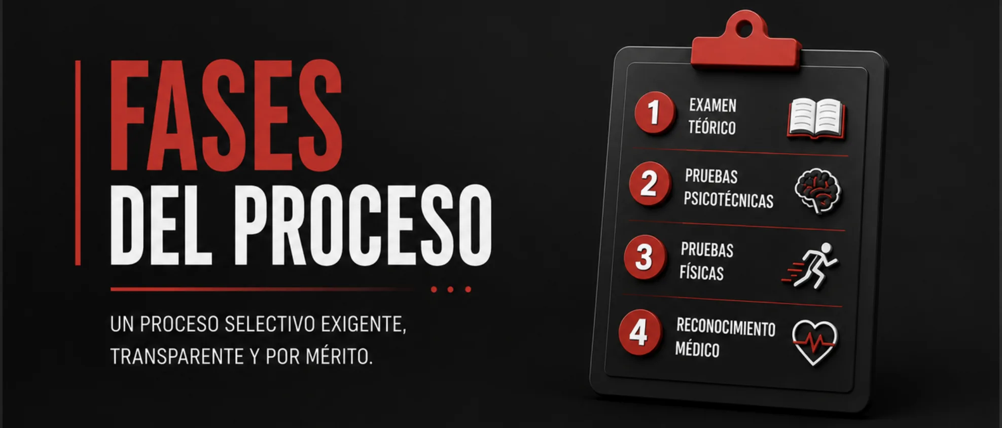 Fases del proceso